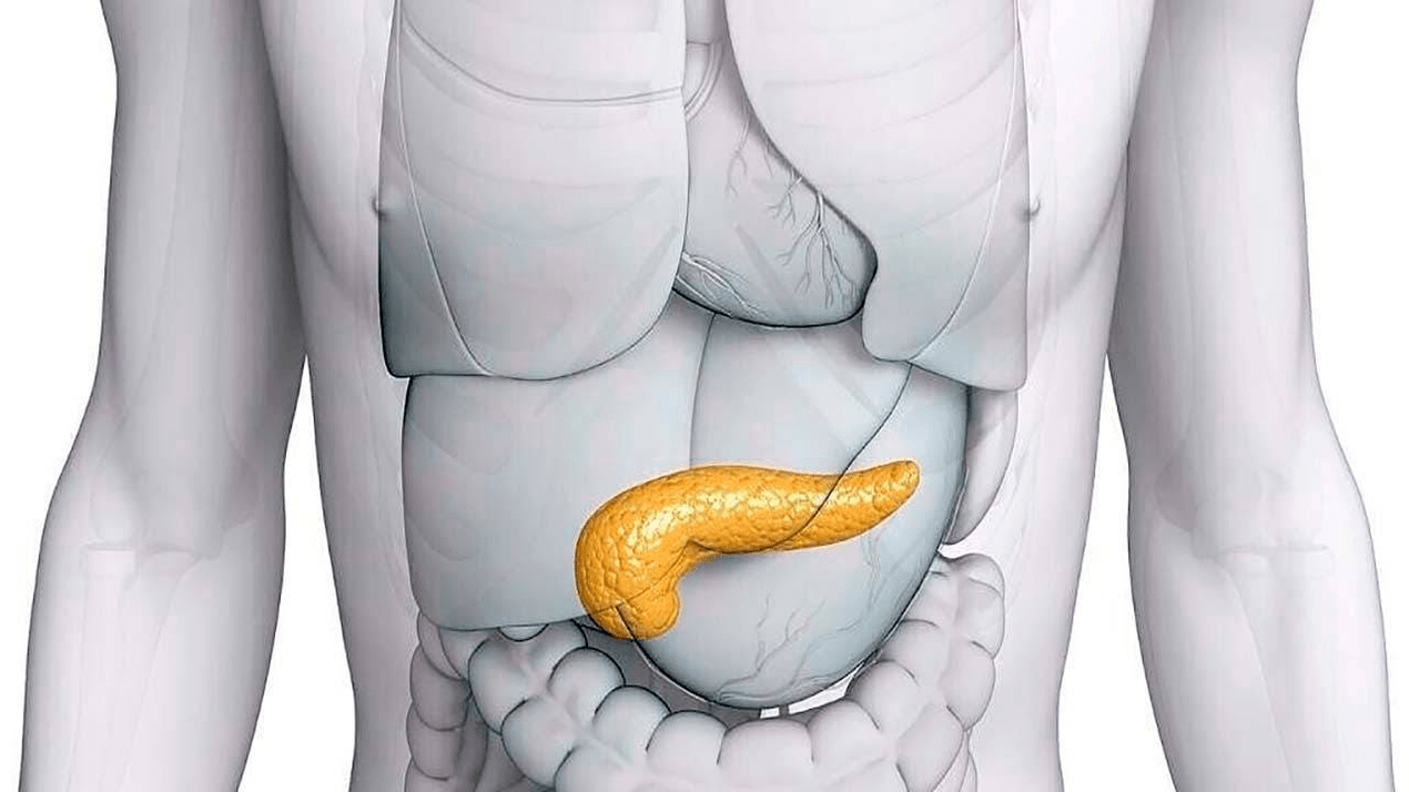 gesond Bauchspaicheldrüs no Glucoren huelen