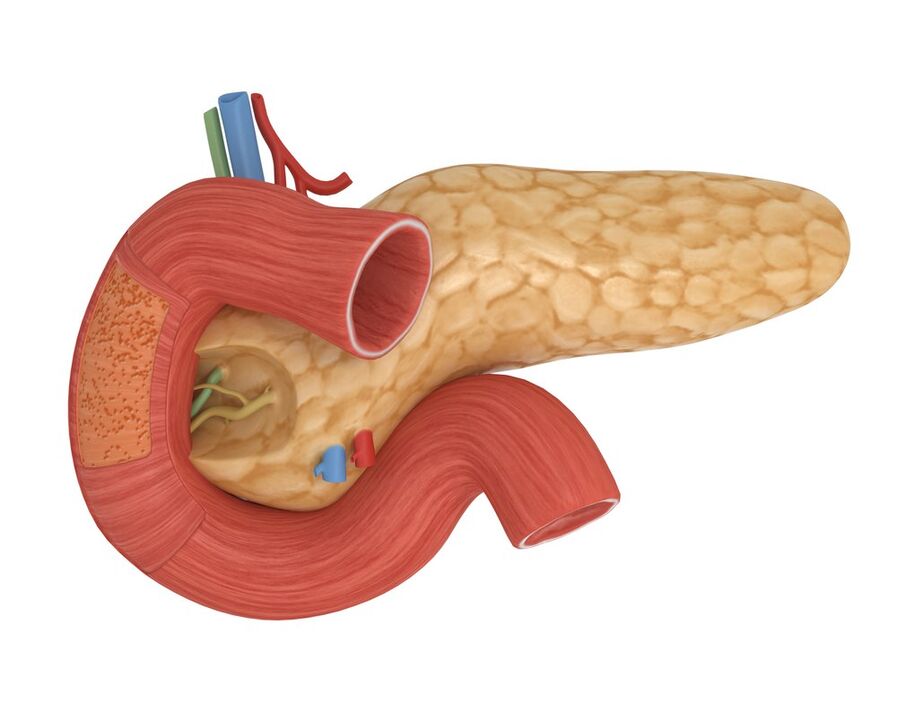 gutt Empfindlechkeet fir Bauchspeicheldrüs Insulin nodeems Dir Glucoren geholl huet
