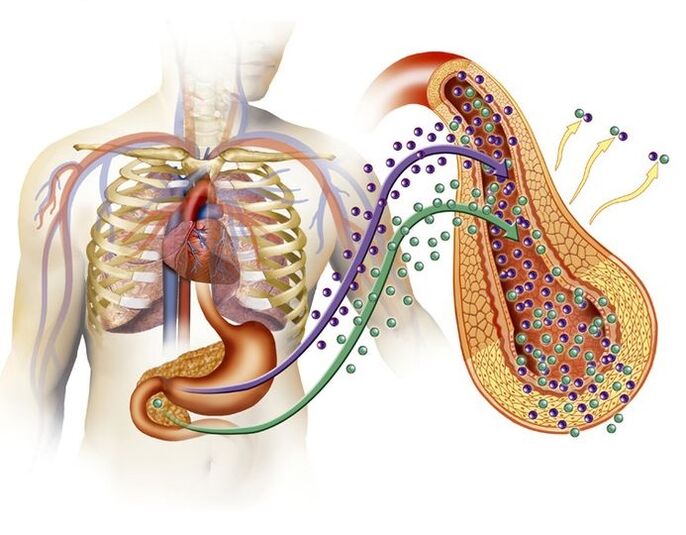 normal Insulinproduktioun nodeems Dir Glucoren geholl huet